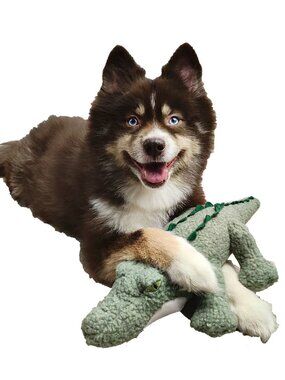 Ellie the Alligator Fleece Dog Toy-Durable Double-Stitched Squeaker&Crinkle Toy